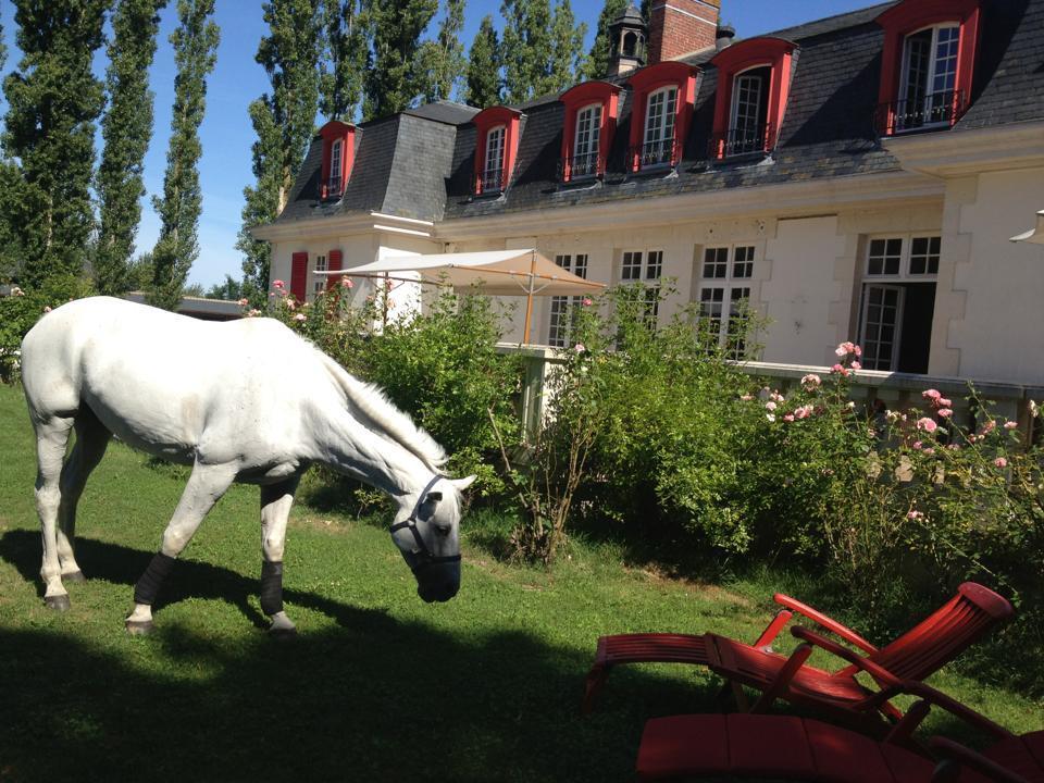 Le Domaine De Barbizon Hotel Saint-Martin-en-Bière Exterior foto